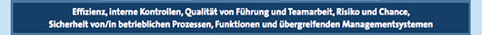 Effizienz, interne Kontrollen, Qualität von Führung und Teamarbeit, Risiko und Chance, 
					Sicherheit von/in betrieblichen Prozessen, Funktionen und übergreifenden Managementsystemen